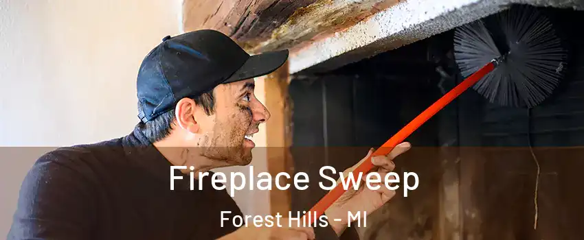  Fireplace Sweep Forest Hills - MI
