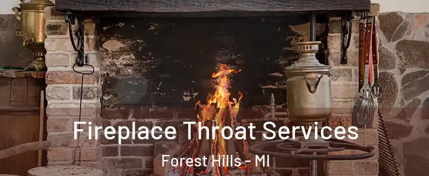  Fireplace Throat Services Forest Hills - MI