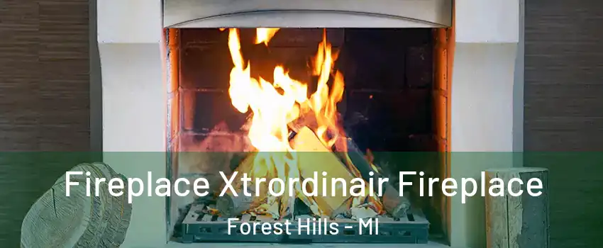  Fireplace Xtrordinair Fireplace Forest Hills - MI