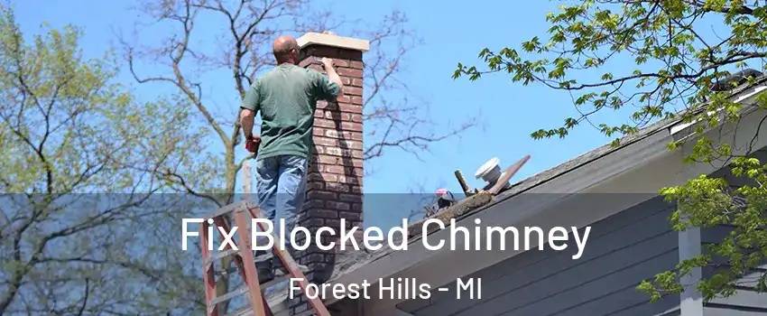  Fix Blocked Chimney Forest Hills - MI