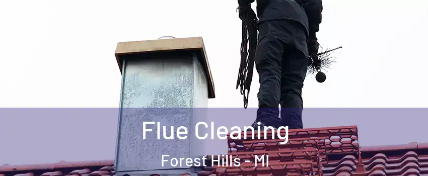 Flue Cleaning Forest Hills - MI