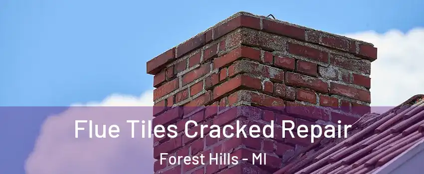  Flue Tiles Cracked Repair Forest Hills - MI