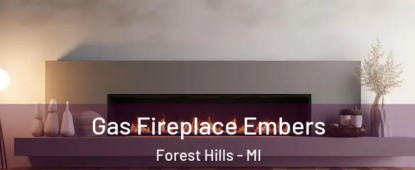  Gas Fireplace Embers Forest Hills - MI