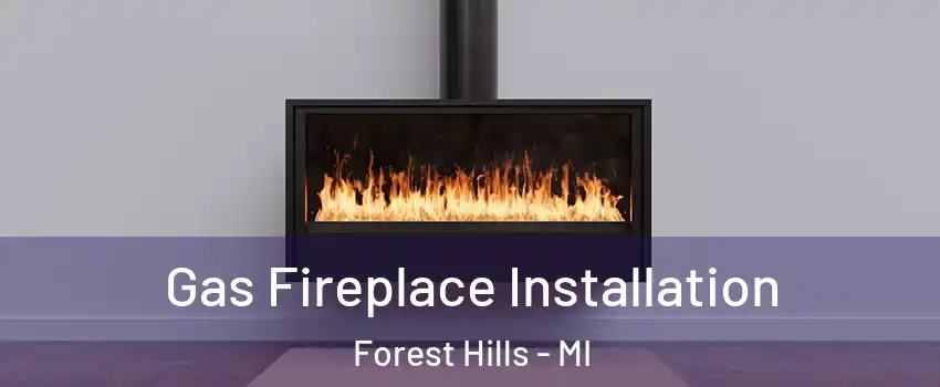  Gas Fireplace Installation Forest Hills - MI