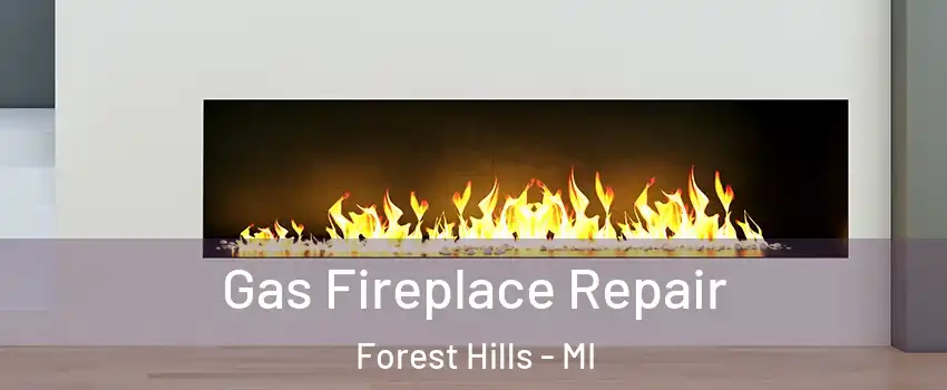  Gas Fireplace Repair Forest Hills - MI