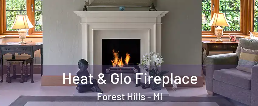  Heat & Glo Fireplace Forest Hills - MI