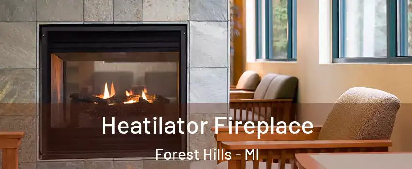  Heatilator Fireplace Forest Hills - MI