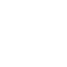 Professional Chimney Flue Installation in Forest Hills, Michigan