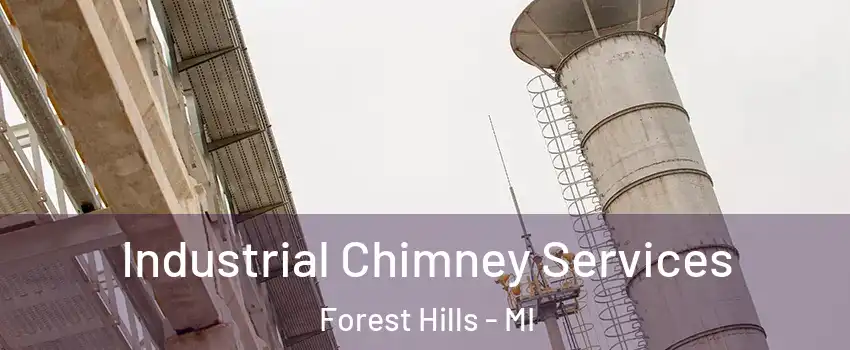  Industrial Chimney Services Forest Hills - MI