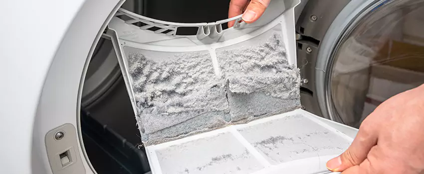 Best Dryer Lint Removal Company in Forest Hills, Michigan