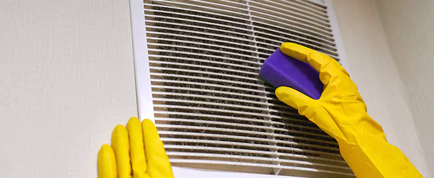 Vent Cleaning Company in Forest Hills, MI