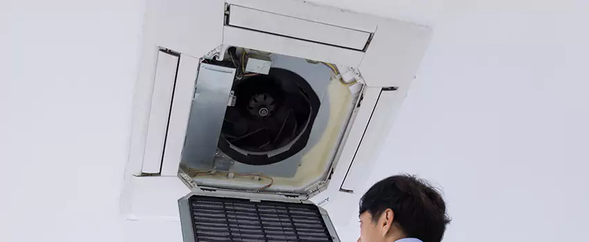 Benefits of Professional Air Duct Cleaning in Forest Hills, Michigan