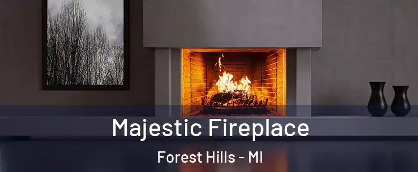  Majestic Fireplace Forest Hills - MI