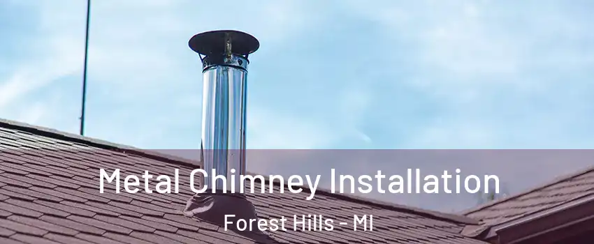  Metal Chimney Installation Forest Hills - MI