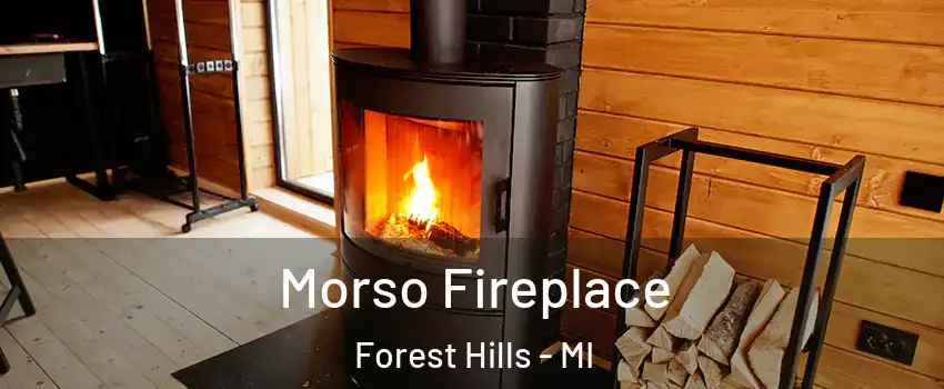  Morso Fireplace Forest Hills - MI