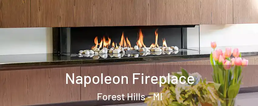  Napoleon Fireplace Forest Hills - MI