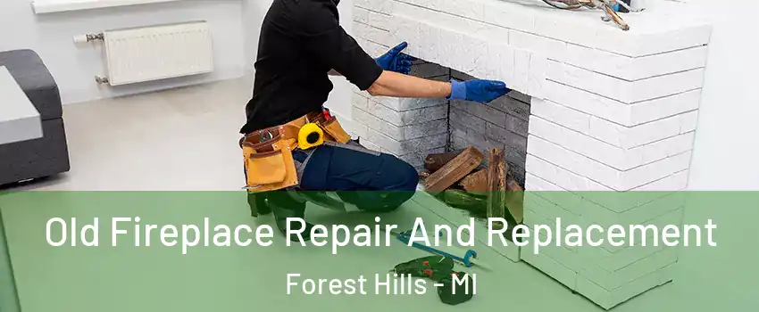  Old Fireplace Repair And Replacement Forest Hills - MI