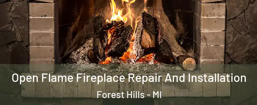  Open Flame Fireplace Repair And Installation Forest Hills - MI