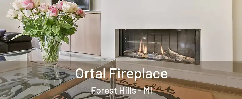 Ortal Fireplace Forest Hills - MI
