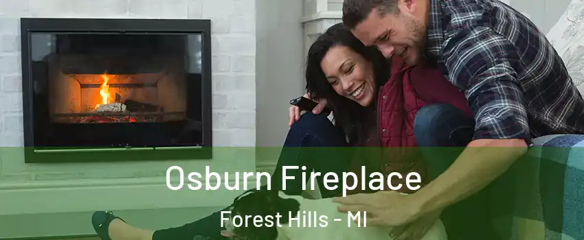  Osburn Fireplace Forest Hills - MI