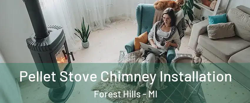  Pellet Stove Chimney Installation Forest Hills - MI