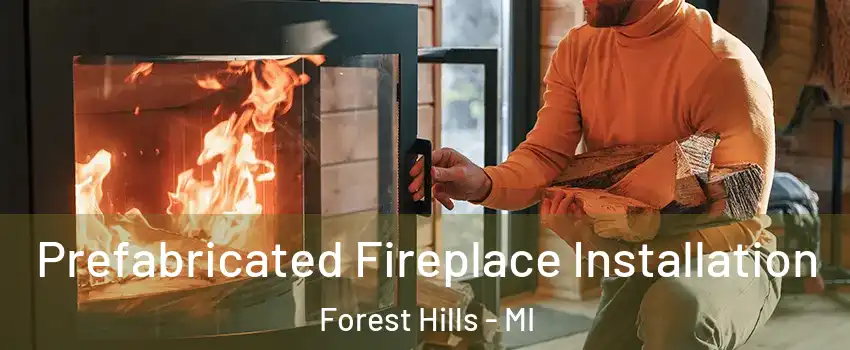  Prefabricated Fireplace Installation Forest Hills - MI