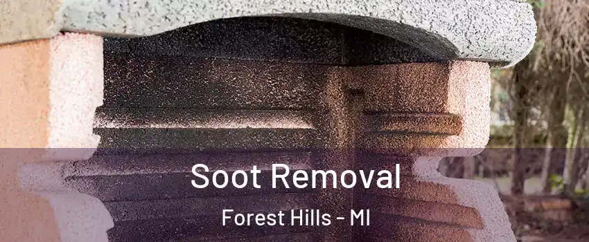  Soot Removal Forest Hills - MI
