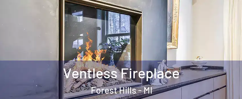  Ventless Fireplace Forest Hills - MI