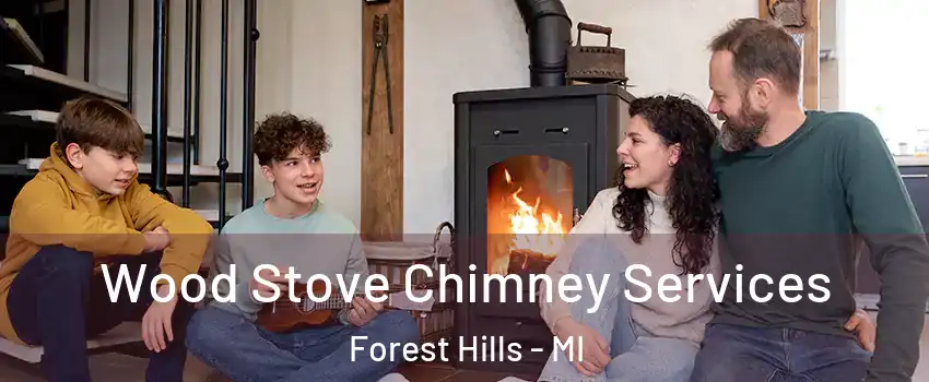  Wood Stove Chimney Services Forest Hills - MI