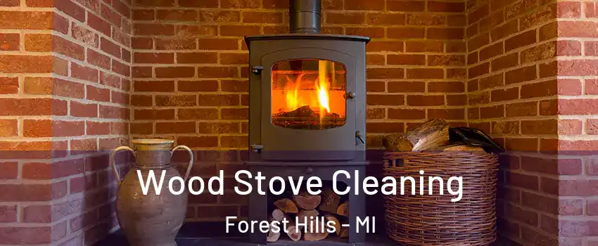  Wood Stove Cleaning Forest Hills - MI