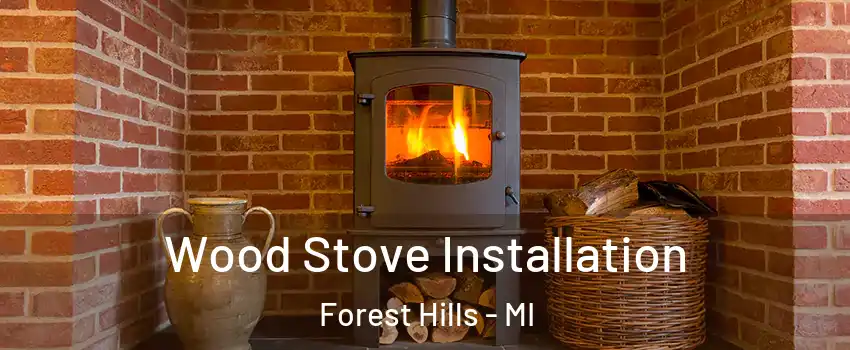  Wood Stove Installation Forest Hills - MI
