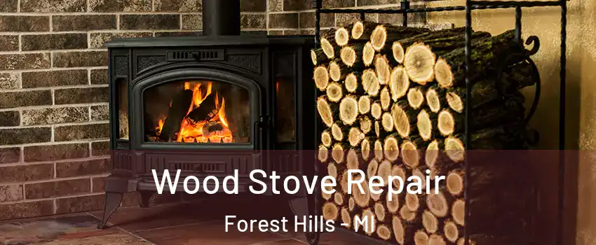  Wood Stove Repair Forest Hills - MI